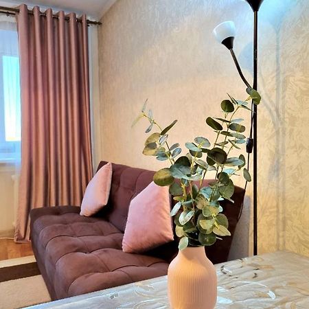 Apartment На Стрелке С Красивым Видом На Иртыш Ustʼ-Kamenogorsk Esterno foto