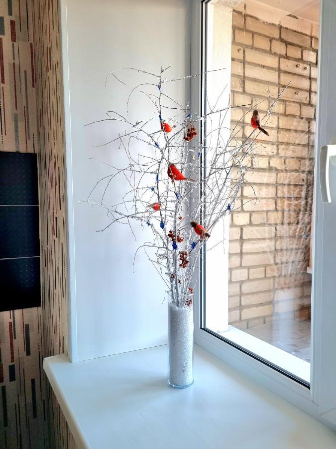 Apartment На Стрелке С Красивым Видом На Иртыш Ustʼ-Kamenogorsk Esterno foto