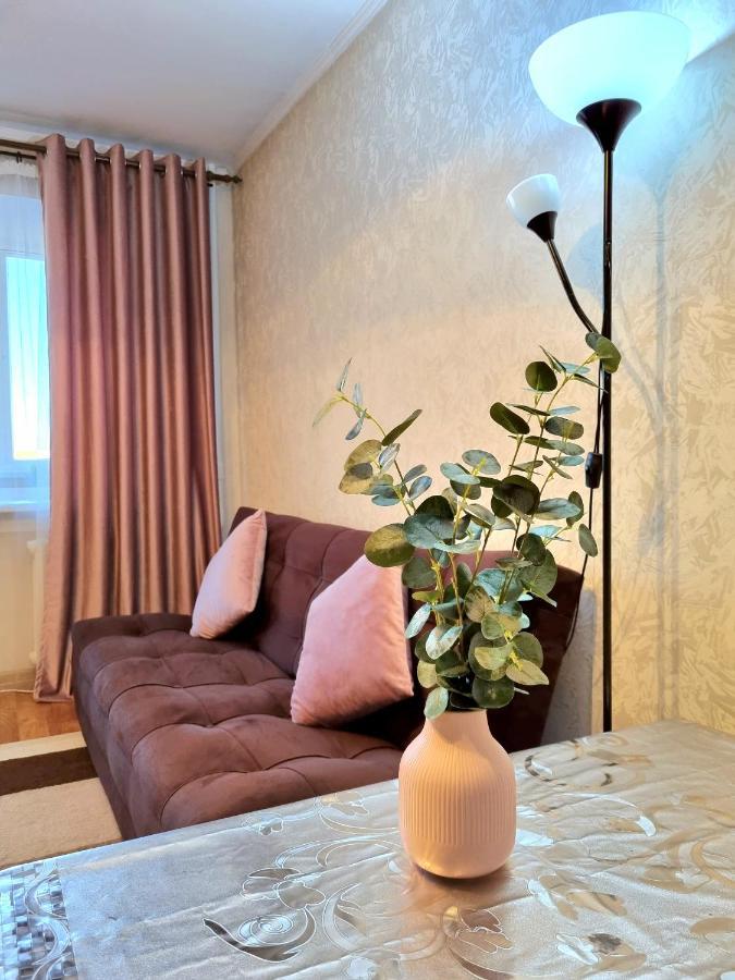 Apartment На Стрелке С Красивым Видом На Иртыш Ustʼ-Kamenogorsk Esterno foto